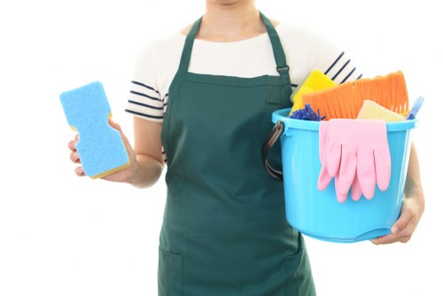 Professional cleaning company in Chiswick for homes and businesses