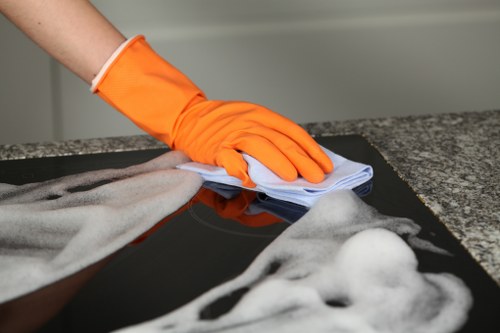 Final review of a professional cleaning complaint