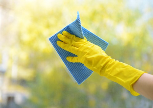 Eco-friendly domestic cleaning services in Chiswick