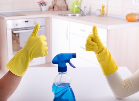 Deep cleaning in a Chiswick home kitchen