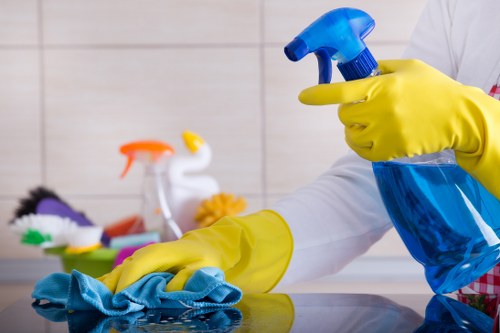 Regular cleaning support for homes and offices in Chiswick