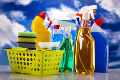 Professional sofa cleaning in a Chiswick living room