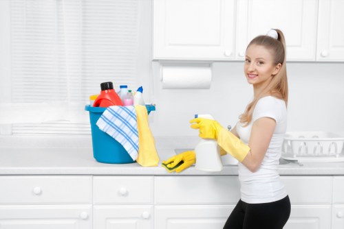 Professional cleaner in Chiswick working in a modern home