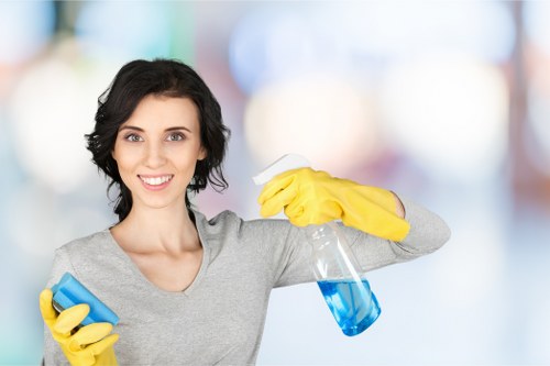 Professional exterior cleaning equipment used on a building facade