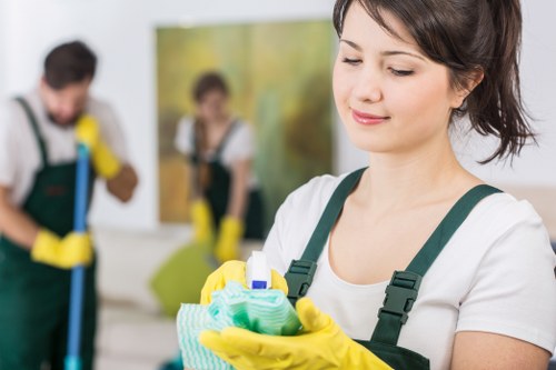 Eco-friendly cleaner in Chiswick maintaining a spotless home