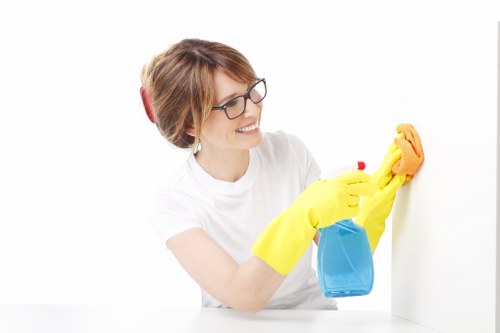 Chiswick cleaning services for homes and workplaces