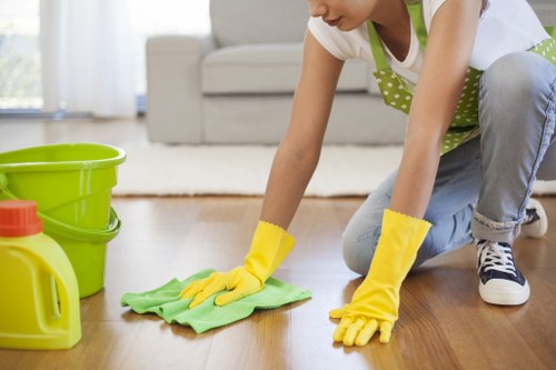 Trusted Chiswick cleaner preparing a tidy living area